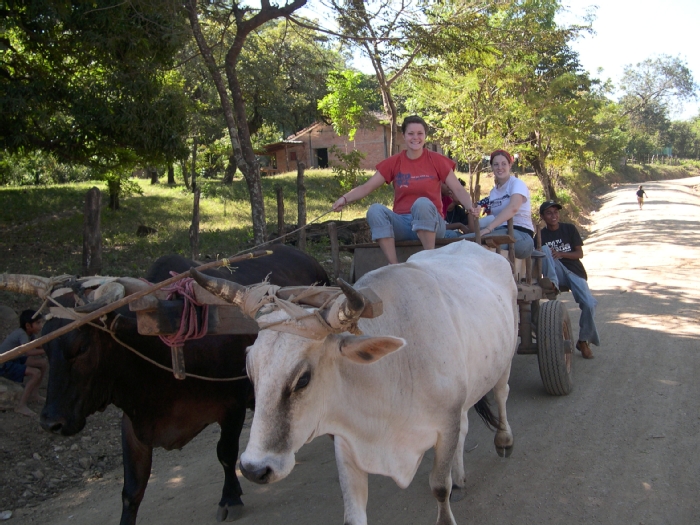 ox pulling cart in Nicaragua